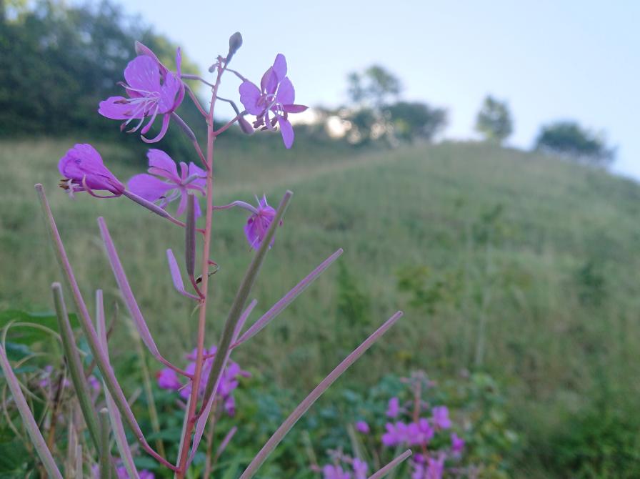 Foto fra turen